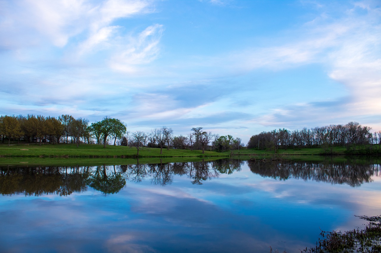lake, trees, reflection
