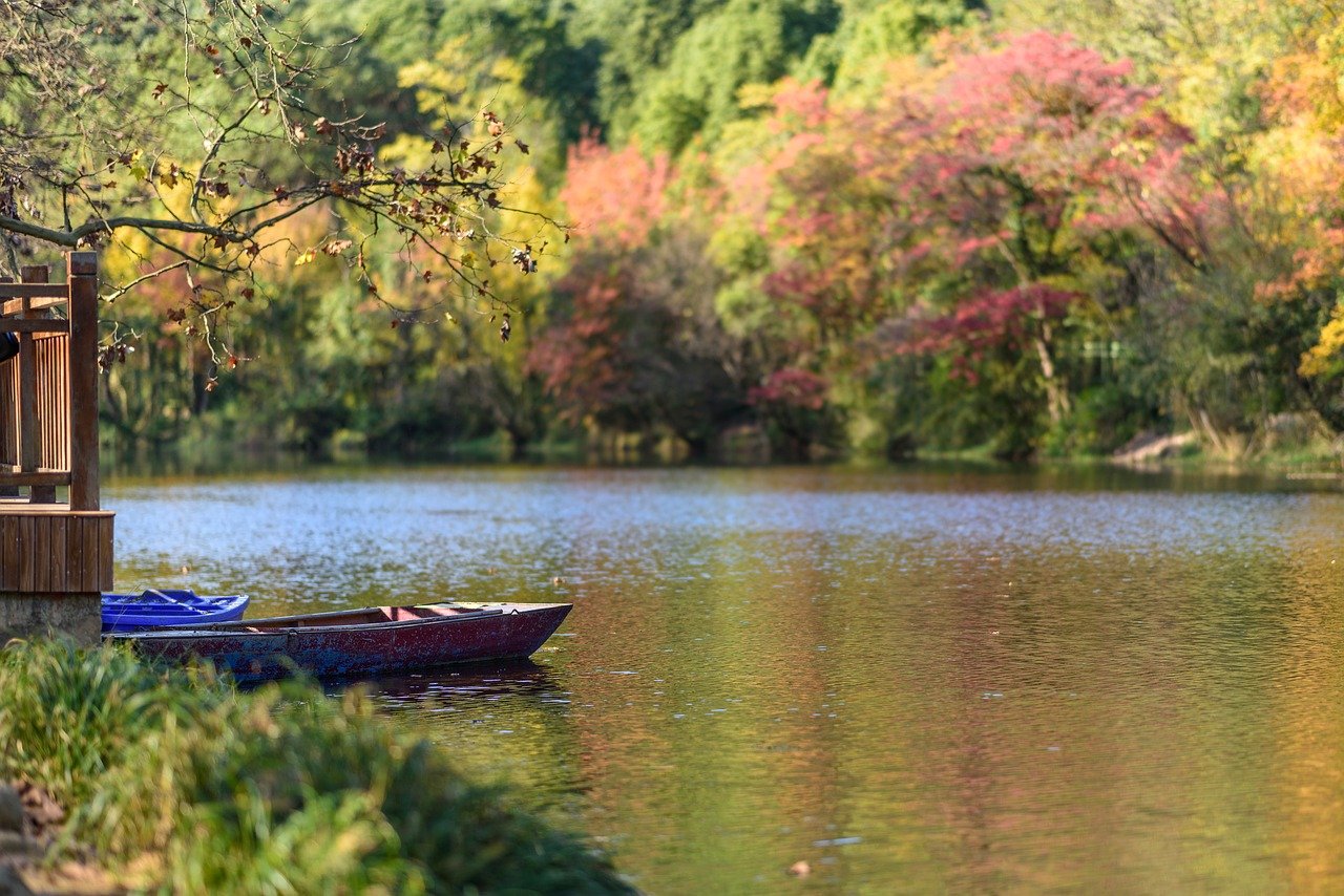 river, river bank, boat, water surface, outdoors, landscape-9432587.jpg