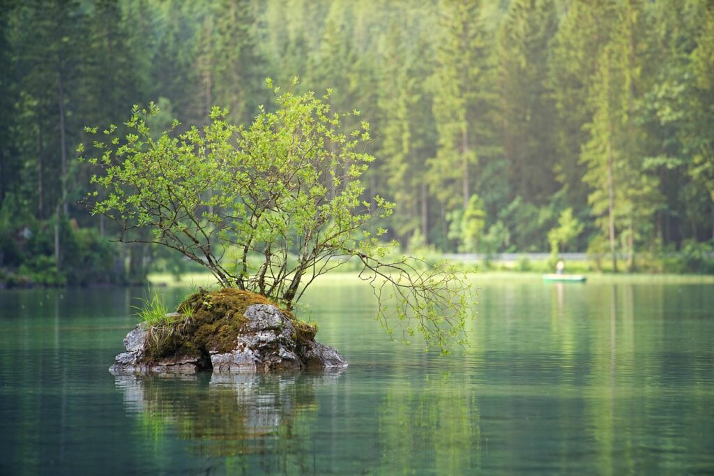 waters, nature, lake, flow, water, landscape, forest, trees, island, summer, green, coniferous forest, idyllic, lake, lake, lake, lake, lake, forest, forest, island-3095682.jpg